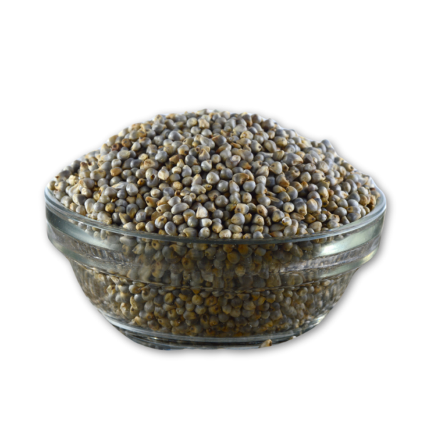 Bajra (Pearl Millet)