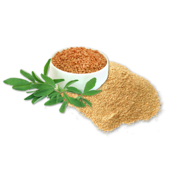 Fenugreek Powder