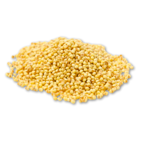 Foxtail Millet