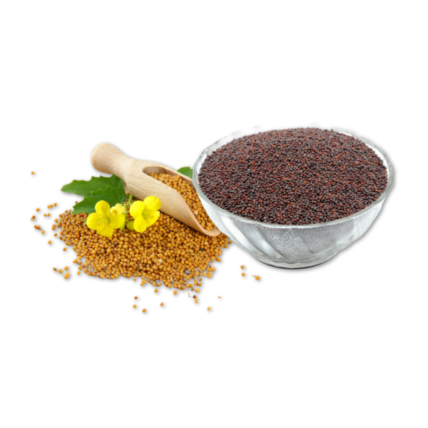 Mustard (Yellow/Black)